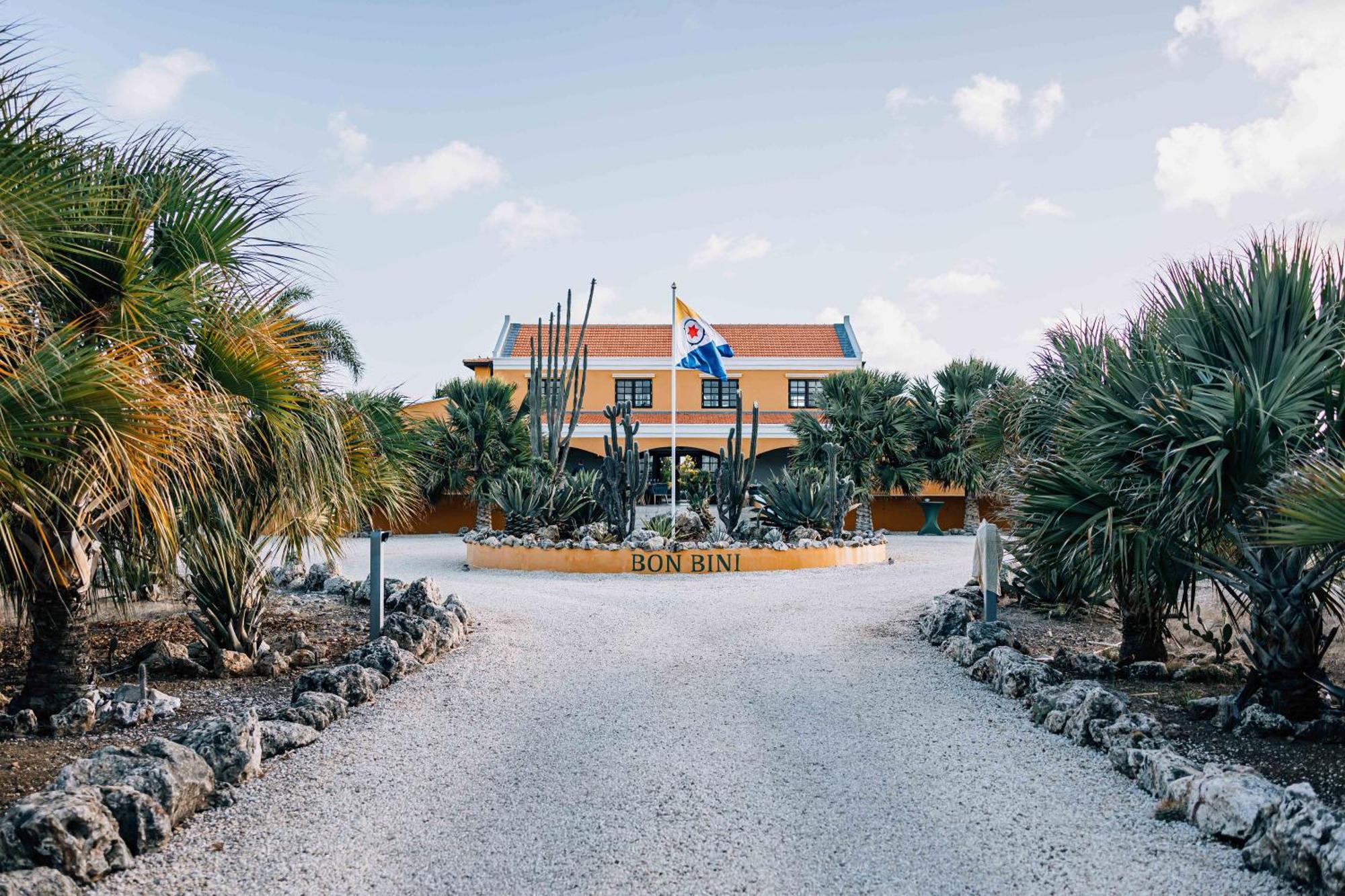 Boutique Hotel Wanapa - Adult Friendly - 14 Years And Older 克拉伦代克 外观 照片