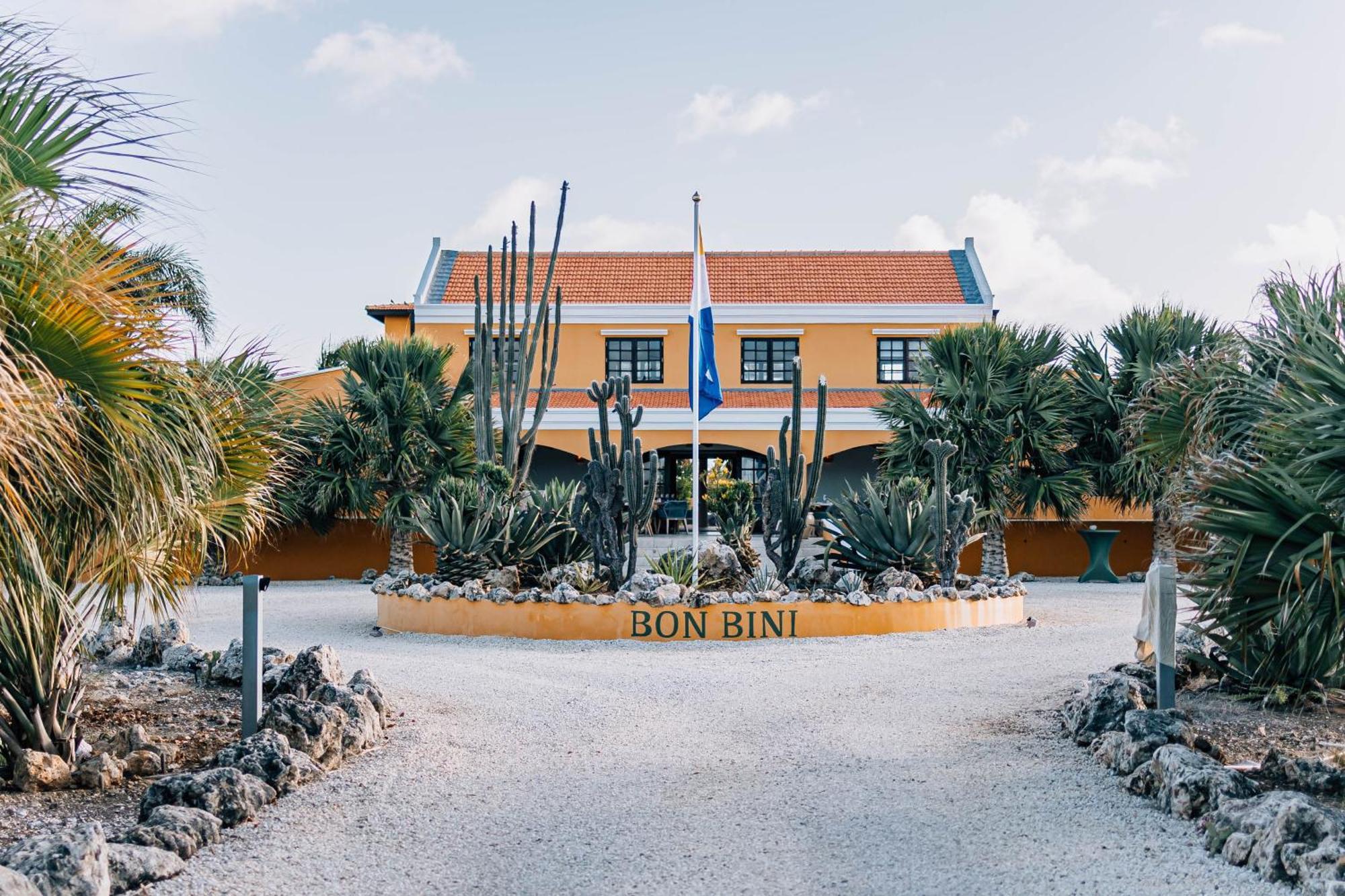 Boutique Hotel Wanapa - Adult Friendly - 14 Years And Older 克拉伦代克 外观 照片